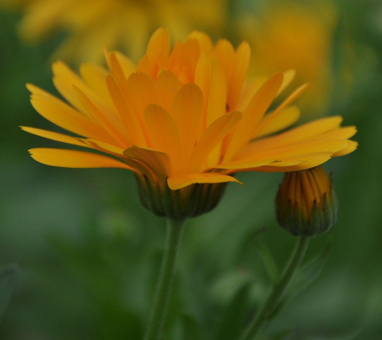 20100803-0024